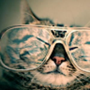 Meet your Posher, Jacqueline